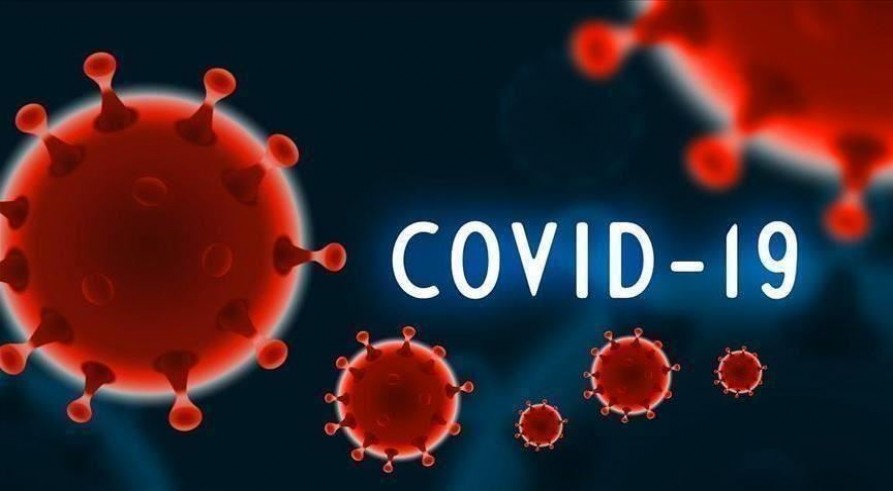 The University of Zakho Conducts a Research on Coronavirus