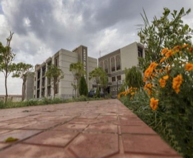 College of Law